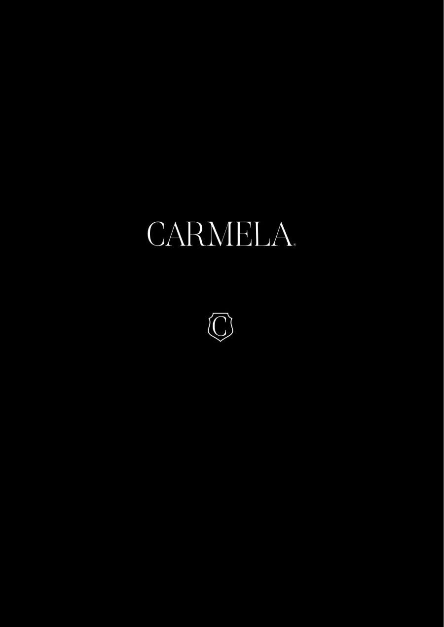 Carmela · Brand book e identidad — página 11